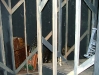 The-House_Attic-2