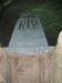 Mayhem-Manor_Open-Grave-1