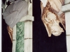 Morris-Costumes_Dr-Evils-Haunted-House_49