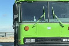 Green-bus