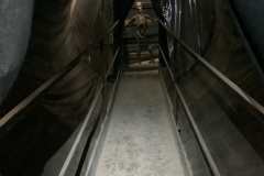 Entire-Vortex-Tunnel